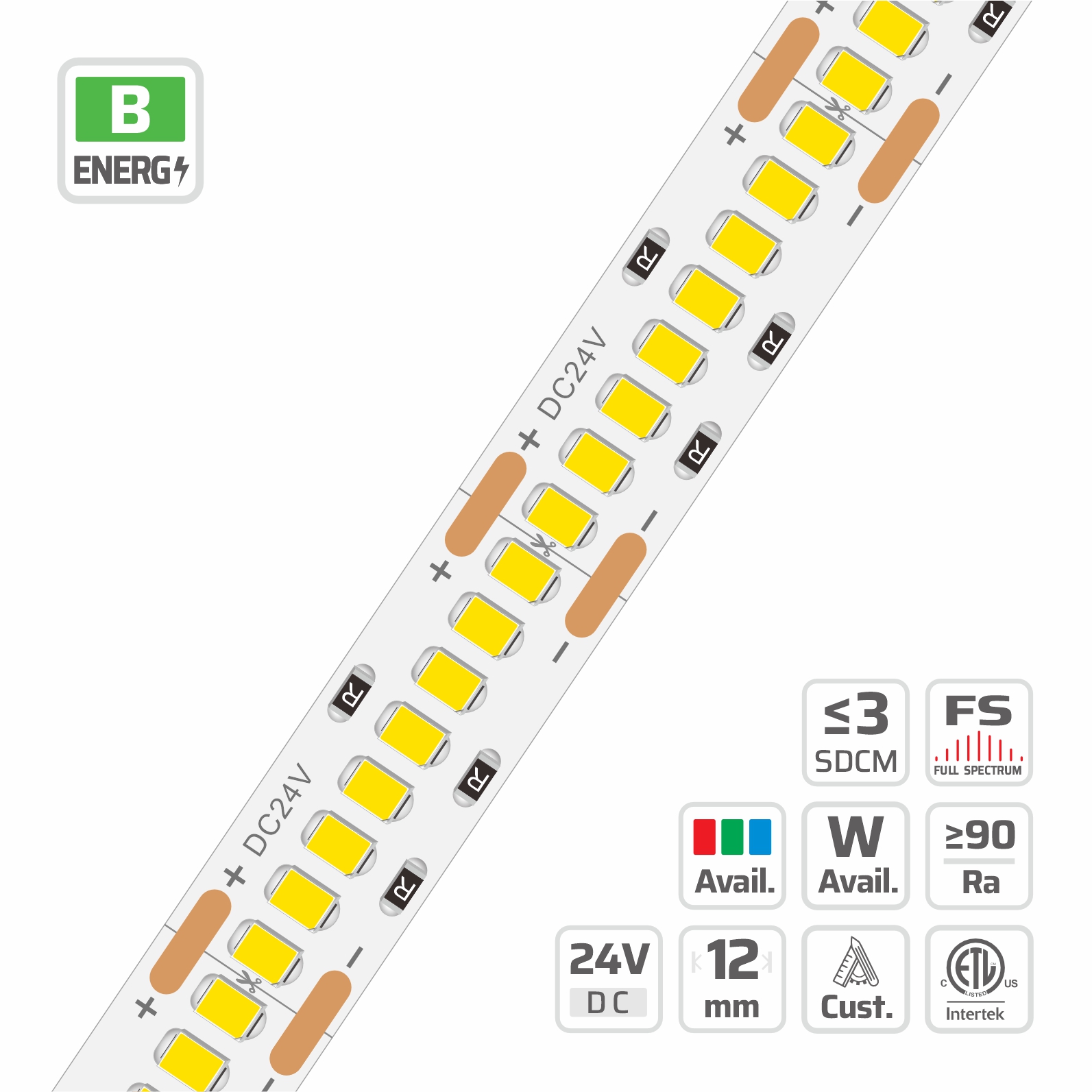12mm | 24V | 256LEDs | 31.25mm/cut | #5166 | 2835 High Lumen Ultra-Density LED Strip Light